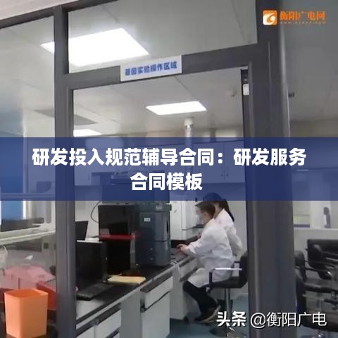 研发投入规范辅导合同：研发服务合同模板 