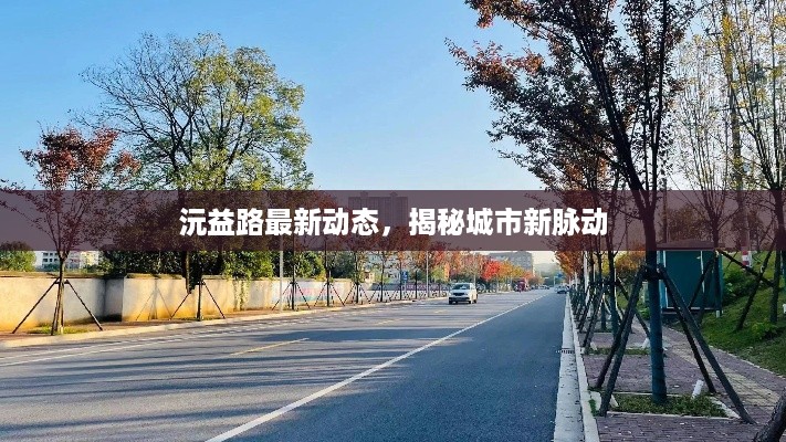 沅益路最新动态，揭秘城市新脉动