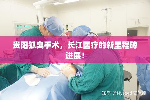 质而不俚 第2页