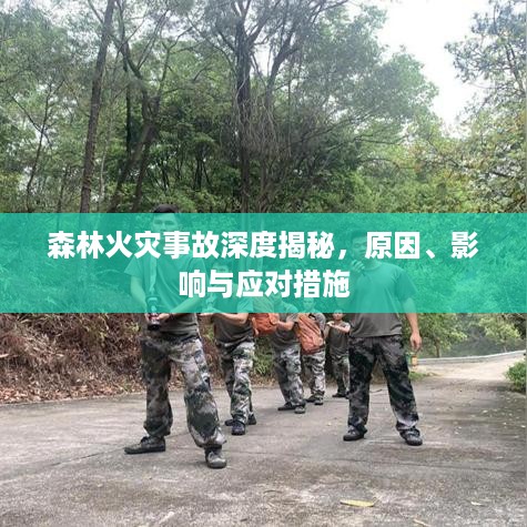森林火灾事故深度揭秘，原因、影响与应对措施