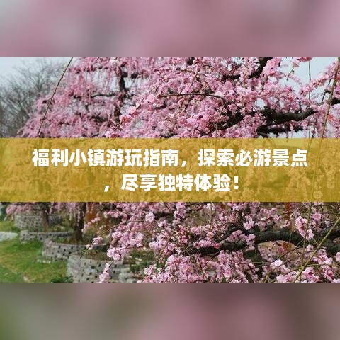 福利小镇游玩指南，探索必游景点，尽享独特体验！
