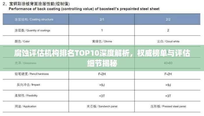 腐蚀评估机构排名TOP10深度解析，权威榜单与评估细节揭秘
