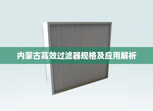 内蒙古高效过滤器规格及应用解析
