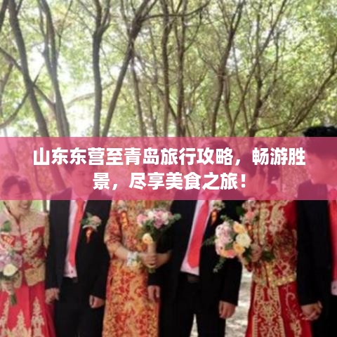 山东东营至青岛旅行攻略，畅游胜景，尽享美食之旅！