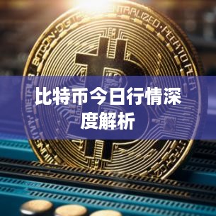 成功案例 第133页