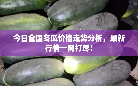 今日全国冬瓜价格走势分析，最新行情一网打尽！