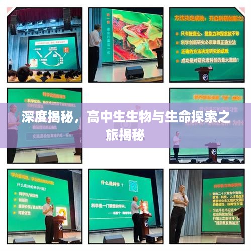 东张西望 第2页