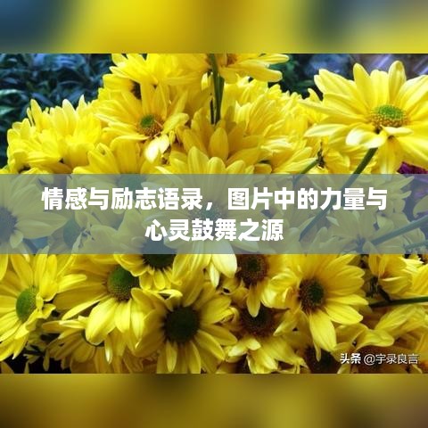 勤勤恳恳 第2页