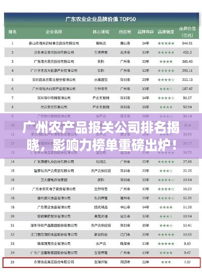 成功案例 第123页