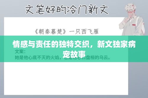 情感与责任的独特交织，新文独家病宠故事