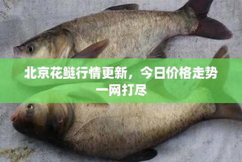 神清气朗 第2页