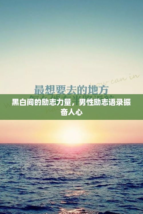 手不释卷 第2页