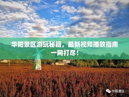 水浄鹅飞 第2页