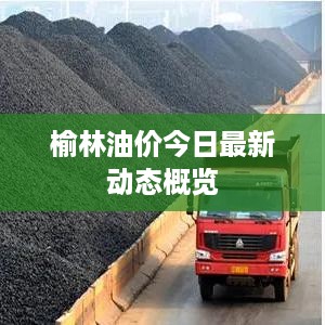 榆林油价今日最新动态概览