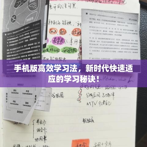 手机版高效学习法，新时代快速适应的学习秘诀！
