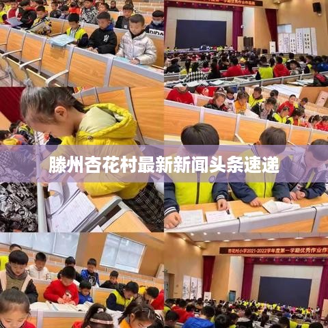 滕州杏花村最新新闻头条速递
