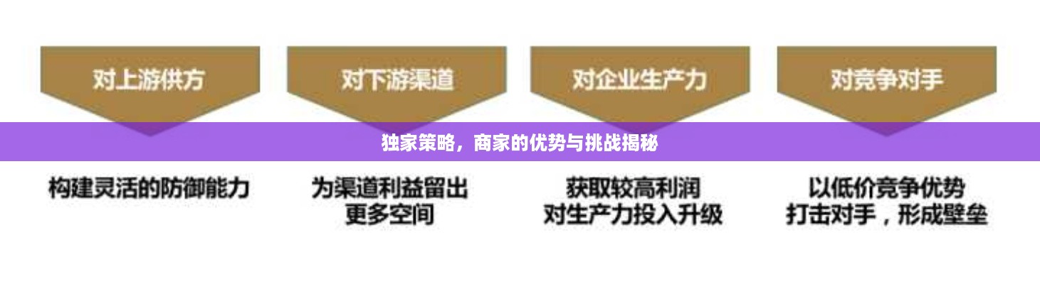 独家策略，商家的优势与挑战揭秘