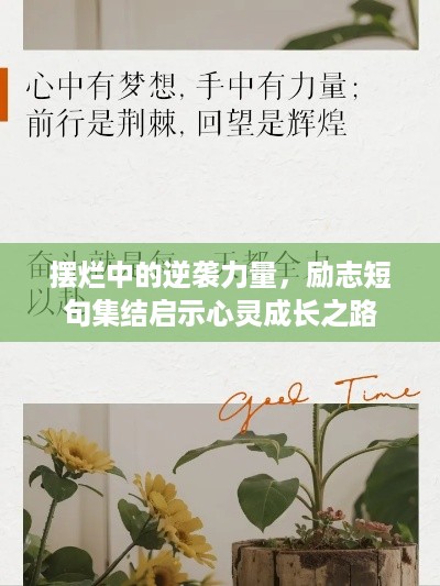 博古通今