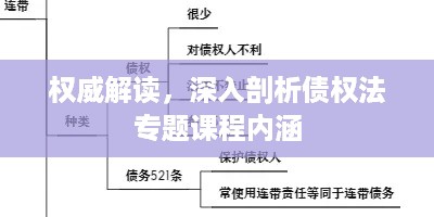 权威解读，深入剖析债权法专题课程内涵