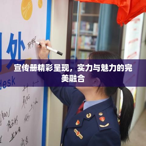 宣传册精彩呈现，实力与魅力的完美融合