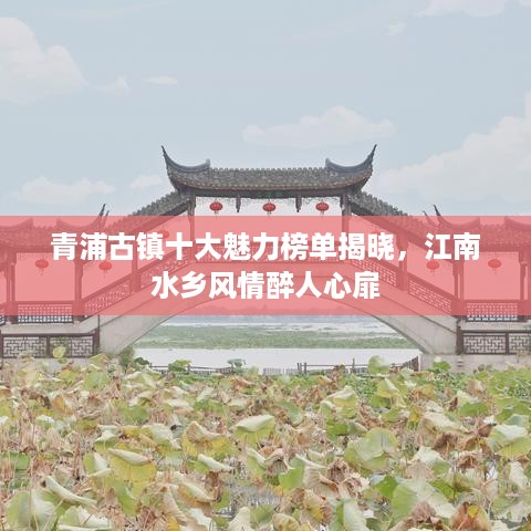 青浦古镇十大魅力榜单揭晓，江南水乡风情醉人心扉