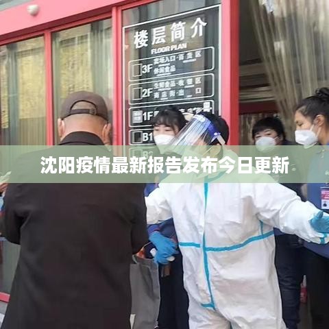 沈阳疫情最新报告发布今日更新