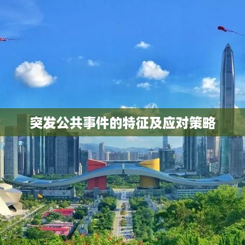 突发公共事件的特征及应对策略