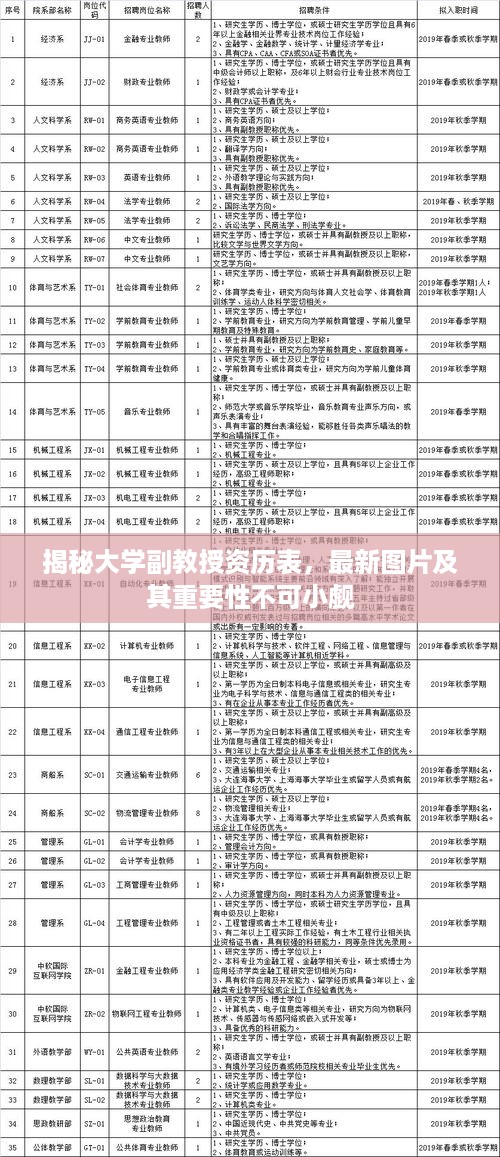 揭秘大学副教授资历表，最新图片及其重要性不可小觑