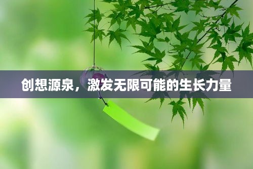 创想源泉，激发无限可能的生长力量