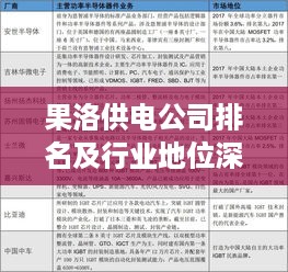 果洛供电公司排名及行业地位深度解析