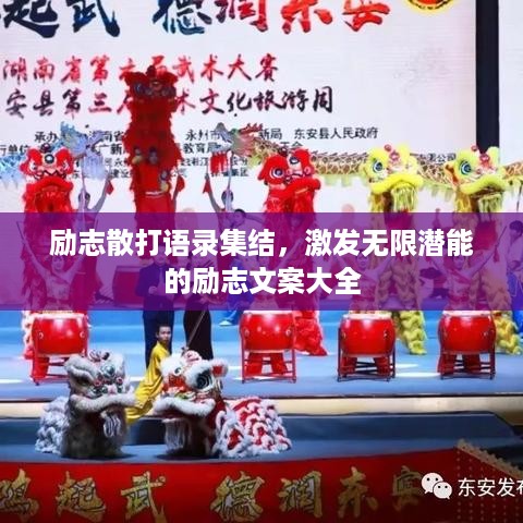 励志散打语录集结，激发无限潜能的励志文案大全