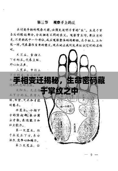 手相变迁揭秘，生命密码藏于掌纹之中
