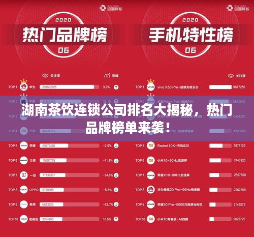 湖南茶饮连锁公司排名大揭秘，热门品牌榜单来袭！
