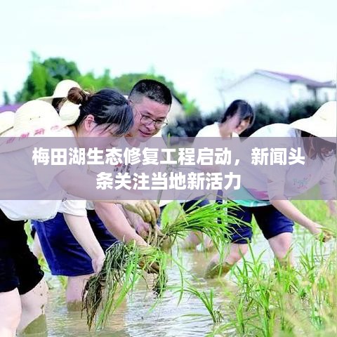 梅田湖生态修复工程启动，新闻头条关注当地新活力