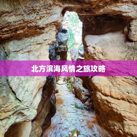 北方滨海风情之旅攻略