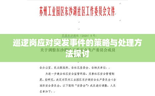 巡逻岗应对突发事件的策略与处理方法探讨