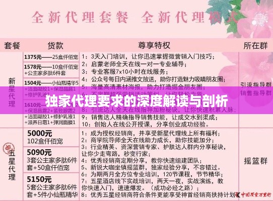 独家代理要求的深度解读与剖析