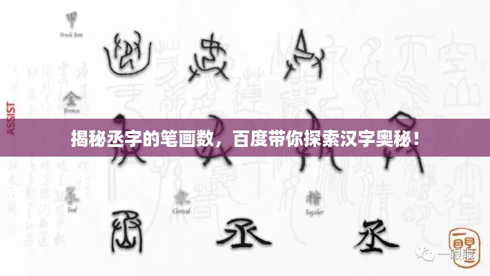 笨鸟先飞