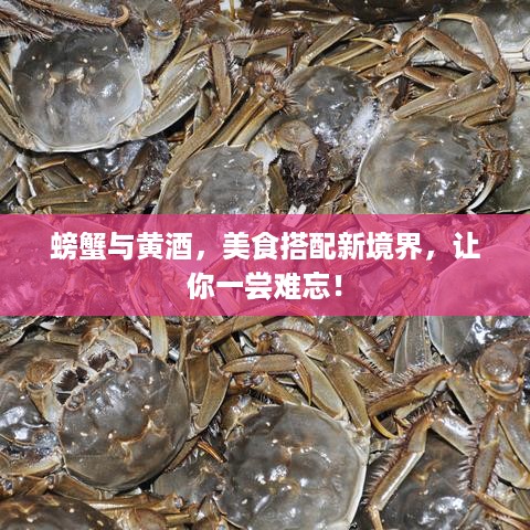 学贯中西