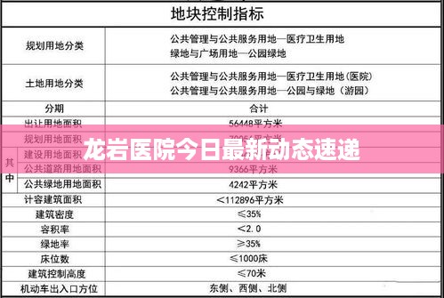如鸟兽散