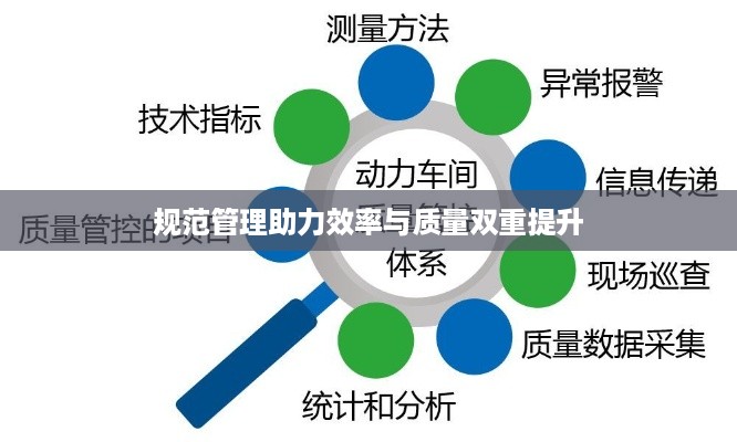 规范管理助力效率与质量双重提升