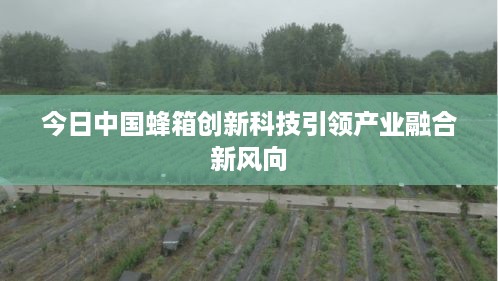 今日中国蜂箱创新科技引领产业融合新风向