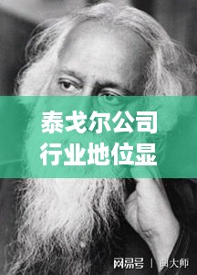 泰戈尔公司行业地位显赫，揭秘其行业排名与巨大影响力