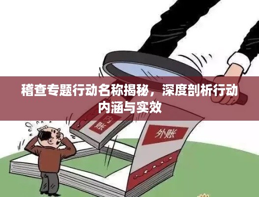 稽查专题行动名称揭秘，深度剖析行动内涵与实效