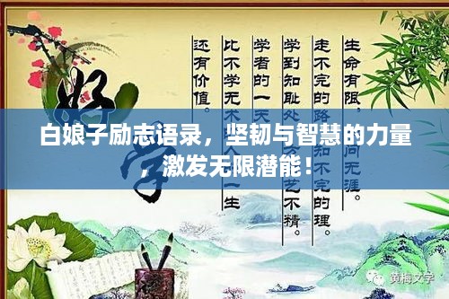 白娘子励志语录，坚韧与智慧的力量，激发无限潜能！