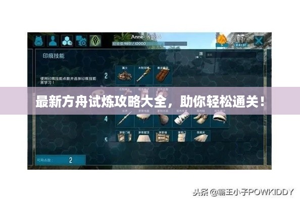 2025年5月11日