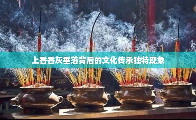 成功案例 第13页