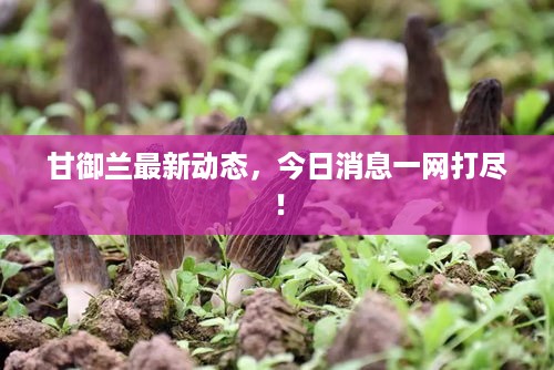 成功案例 第8页