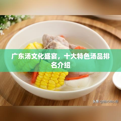 广东汤文化盛宴，十大特色汤品排名介绍
