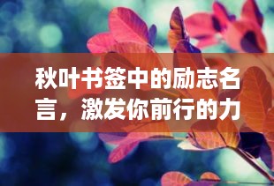 秋叶书签中的励志名言，激发你前行的力量！